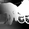 Rotoscope Service cost in India