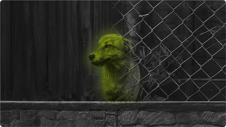 VFX Paint - G3D Studio